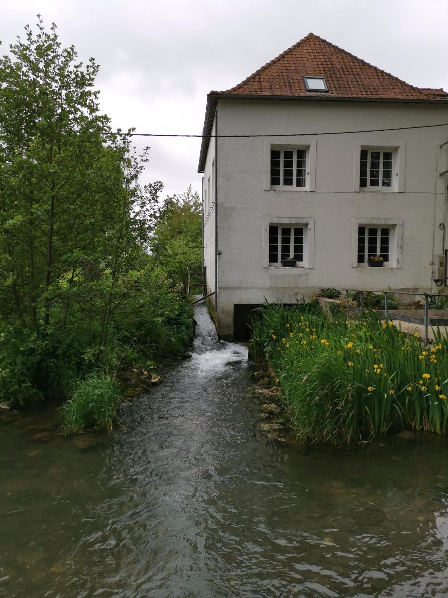 Le Moulin D'Audenfort 科勒克斯 外观 照片
